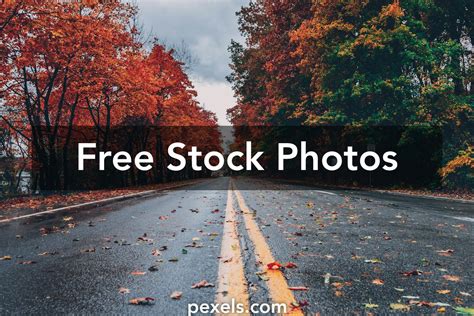 Gratis Stock